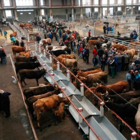 Matadero de Torrelavega